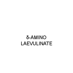 δ-AMINO LAEVULINATE
